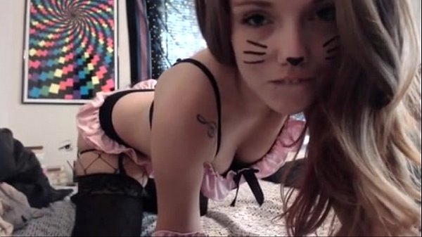 hübsch Mädchen haben cat fresse hat weichen Körper und zeigt in front von Webcam